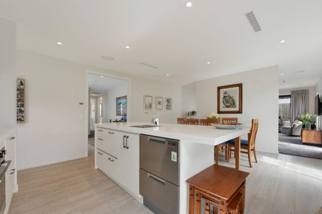 Photo of property in 17 Travers Avenue, Richmond, 7020