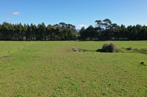 Photo of property in 45 Marchant Street, Eketahuna, 4900