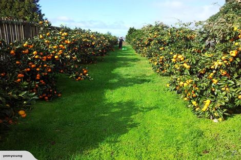 Photo of property in 6 Aileen Place, Whangamata, 3691