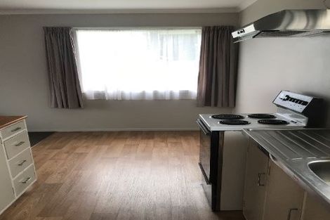 Photo of property in 98 Te Rangitautahanga Road, Turangi, 3334