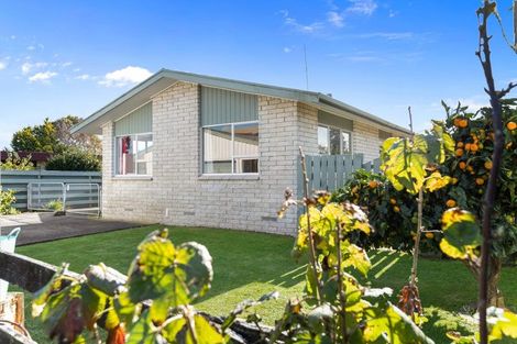 Photo of property in 29 Rushton Road, Morrinsville, 3300
