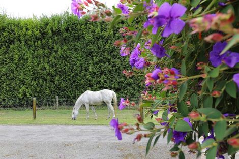 Photo of property in 402 Mclaren Falls Road, Omanawa, Tauranga, 3171