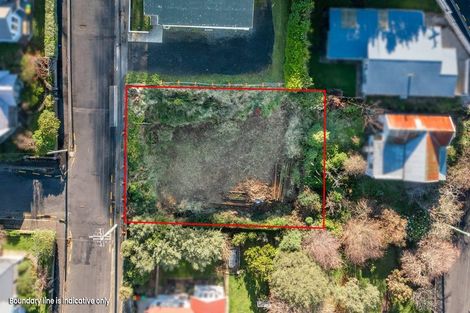Photo of property in 11 Whitby Street, Mornington, Dunedin, 9011