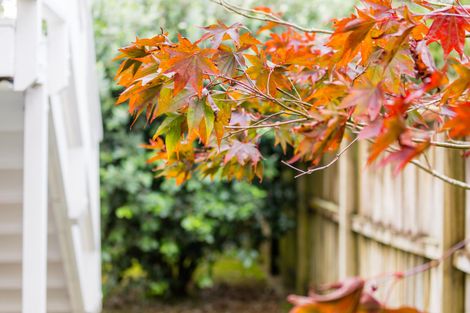 Photo of property in 11 Gregory Place, Mount Roskill, Auckland, 1041