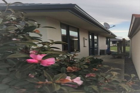 Photo of property in 16 The Drive, Richmond, 7020