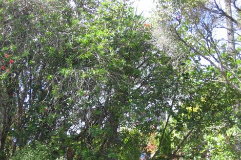 Photo of property in 31 Braemar Road, Castor Bay, Auckland, 0620