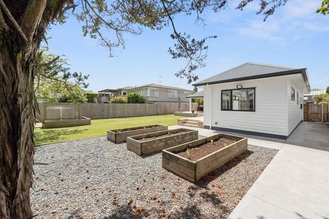 Photo of property in 3 Prescott Place, Hillcrest, Hamilton, 3216