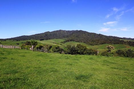 Photo of property in 669a Te Hutewai Road, Raglan, 3296
