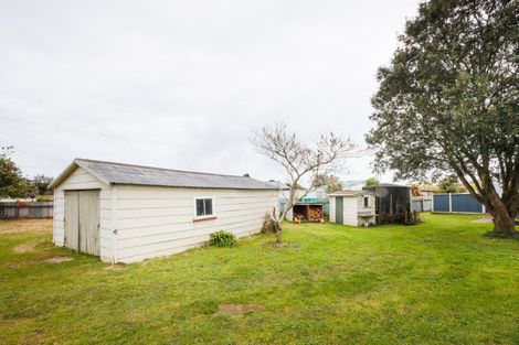 Photo of property in 24 Punga Street, Tangimoana, 4822
