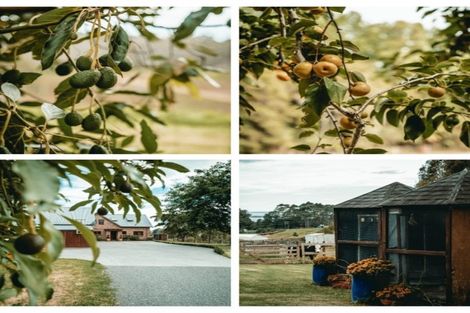 Photo of property in 69 Turntable Hill Road, Whakamarama, Katikati, 3181