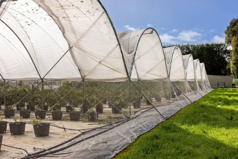 Photo of property in 8a Clarke Road, Te Puna, Tauranga, 3176