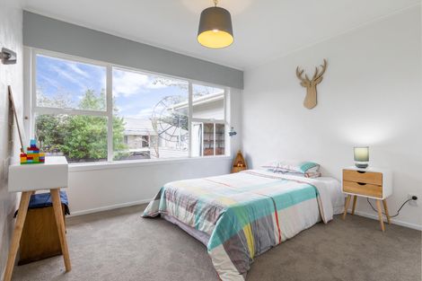 Photo of property in 11 Gregory Place, Mount Roskill, Auckland, 1041