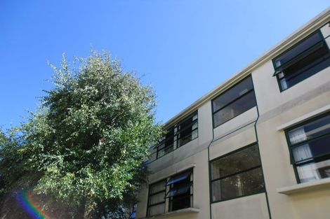 Photo of property in Te Awhina Apartments, 29/22 Sussex Street, Mount Cook, Wellington, 6021