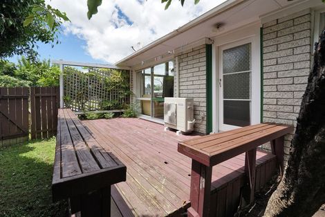 Photo of property in 7 Arthur Place, Chartwell, Hamilton, 3210