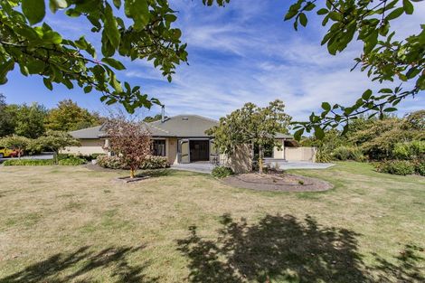 Photo of property in 5 Newton Place, Amberley, 7410