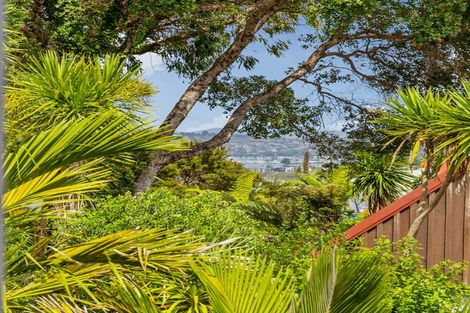 Photo of property in 19 Jacaranda Avenue, Beach Haven, Auckland, 0626