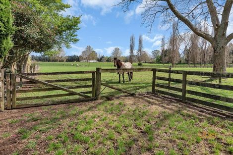 Photo of property in 63b Ludbrook Road, Pakaraka, Kaikohe, 0472