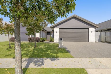 Photo of property in 14 Saint Thomas Avenue, Pyes Pa, Tauranga, 3112