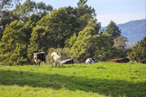 Photo of property in 39 Otapouri Road, Owhango, 3989