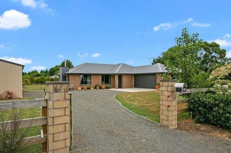 Photo of property in 607 Ross Street, Pirongia, 3802