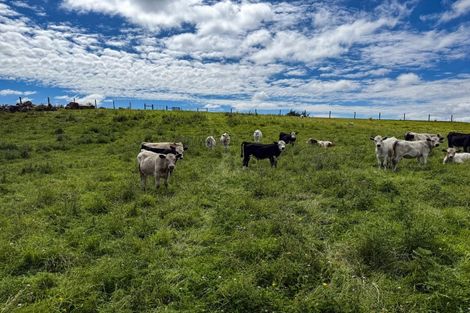 Photo of property in 10 Four Mile Creek Road, Te Houka, Balclutha, 9273