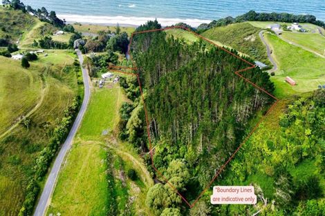 Photo of property in 761h State Highway 2 West, Pikowai, Matata, 3194