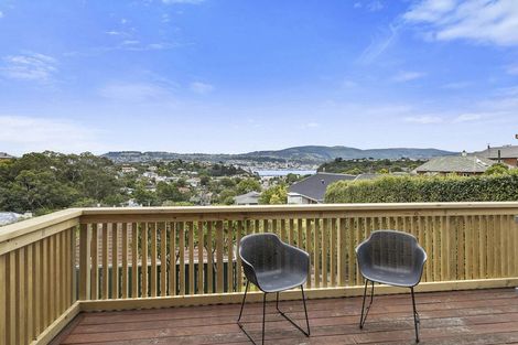 Photo of property in 47 Spottiswoode Street, Tainui, Dunedin, 9013
