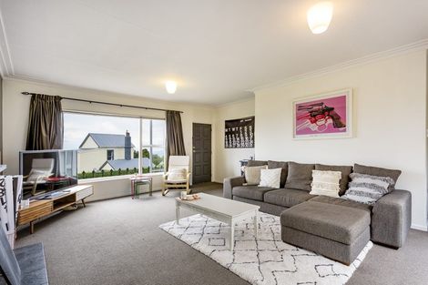 Photo of property in 117 Highgate, Roslyn, Dunedin, 9010