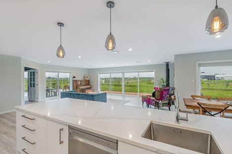 Photo of property in 455e Taonui Road, Colyton, Feilding, 4775