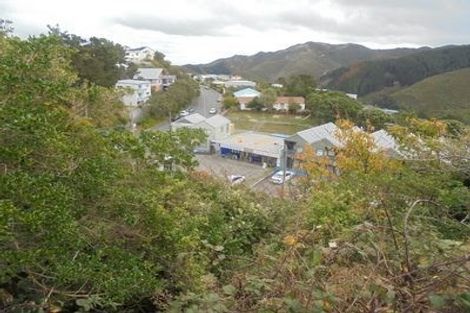 Photo of property in 17 Caribou Place, Kingston, Wellington, 6021