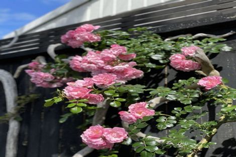 Photo of property in 27 Te Wharau Drive, Greenhithe, Auckland, 0632