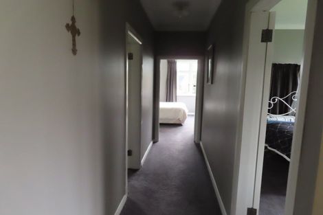 Photo of property in 181 Harris Road, Woodville, 4997