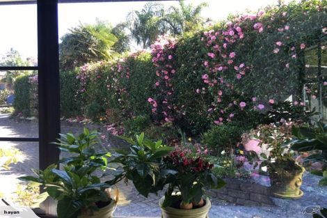 Photo of property in 16 Alexander Court, Pukekohe, 2120