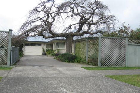 Photo of property in 19 Carthew Street, Feilding, 4702