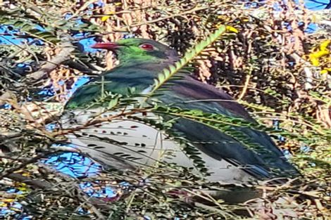 Photo of property in 96b Motuhara Road, Plimmerton, Porirua, 5026