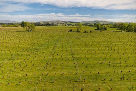 Photo of property in 35 Brighton Street, Island Bay, Wellington, 6023