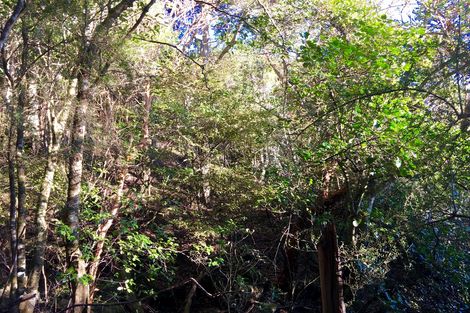 Photo of property in 60 Mcintosh Road, Upper Waitati, Waitati, 9085