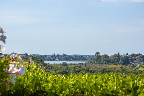 Photo of property in 59 Hawkridge Heights, Bethlehem, Tauranga, 3110