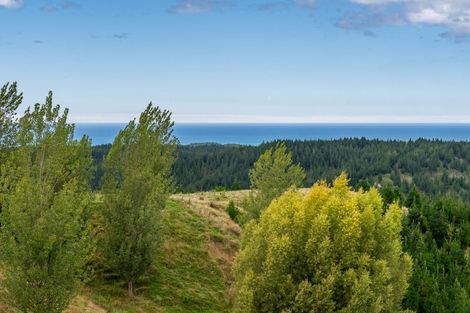 Photo of property in 438 Aropaoanui Road, Tangoio, Napier, 4181