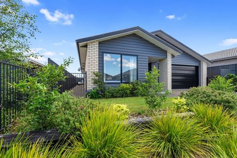 Photo of property in 16 Pioneer Crescent, Omokoroa, 3114