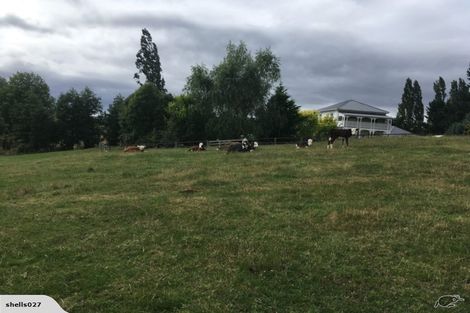 Photo of property in 313 White Road, Broadlands, Reporoa, 3081
