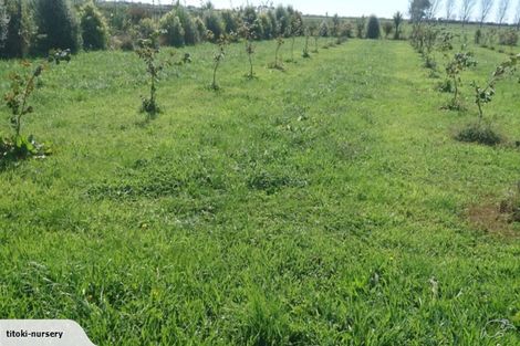 Photo of property in 324 Greig Road, Matata, Whakatane, 3194