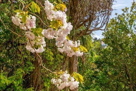 Photo of property in 155 Upland Road, Kelburn, Wellington, 6012