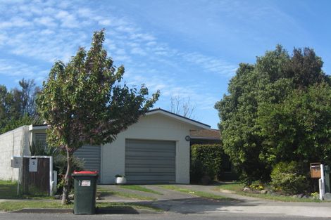 Photo of property in 3 Leefield Street, Blenheim, 7201