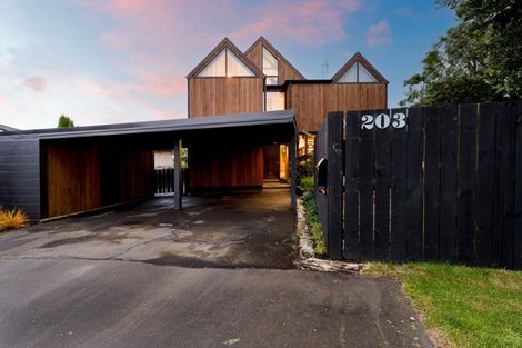 Photo of property in 203 Highcliff Road, Shiel Hill, Dunedin, 9013