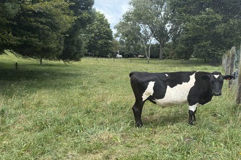 Photo of property in 15 Scott Road, Putaruru, 3483