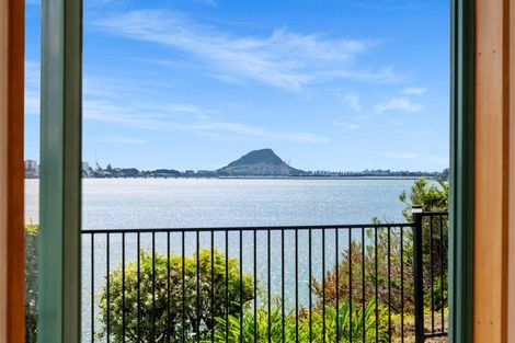 Photo of property in 292a Maungatapu Road, Maungatapu, Tauranga, 3112