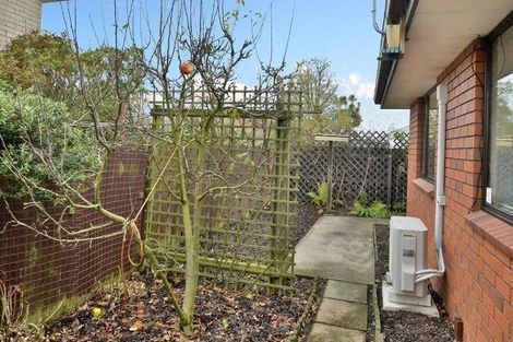 Photo of property in 17b Grove Street, Saint Kilda, Dunedin, 9012