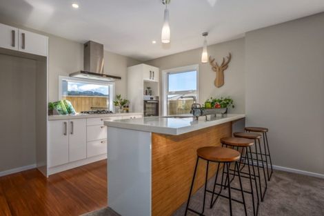 Photo of property in 93a John Burke Drive, Aotea, Porirua, 5024