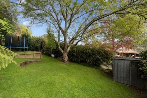 Photo of property in 11 Hall Road, Matua, Tauranga, 3110